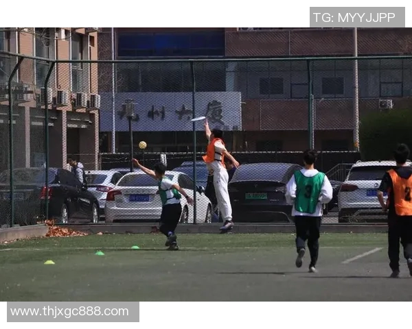 飞盘盛宴：深入武汉飞盘队的战术与技巧探讨