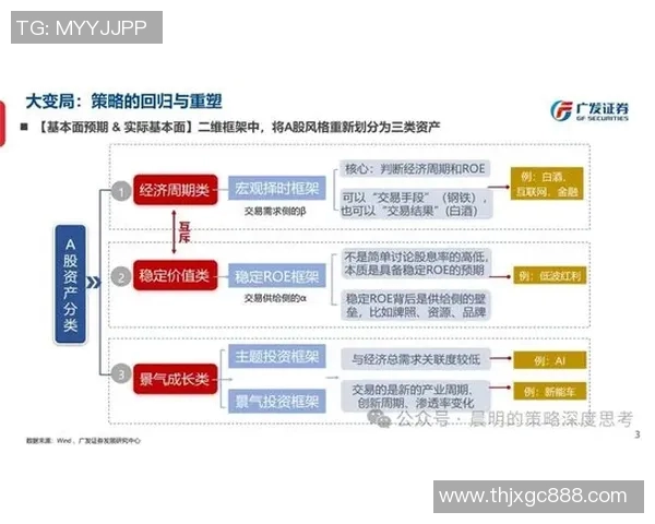 武汉排球队的运营模式与发展策略深度解析