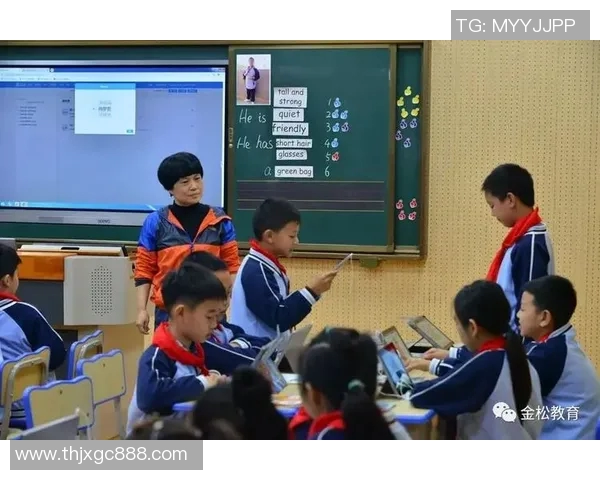 深度对话杨静排球人生的起伏与坚持探索之旅